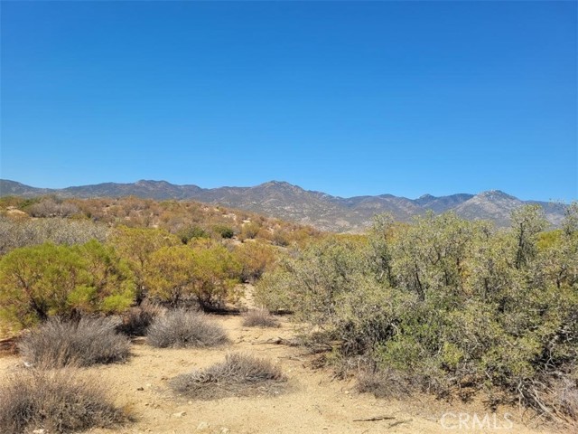 MLS #SW25215178 image #8