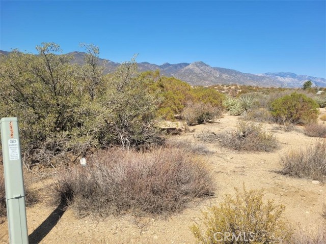 MLS #SW25215178 image #9