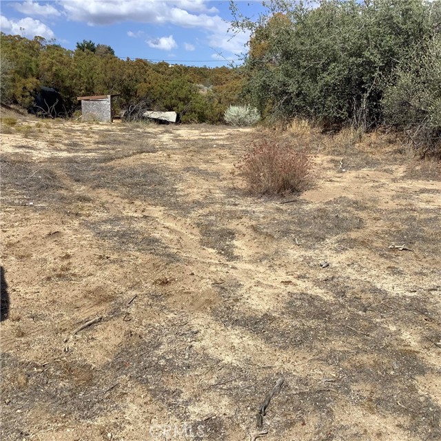MLS #SW25217068 image #11
