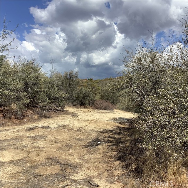 MLS #SW25217068 image #13