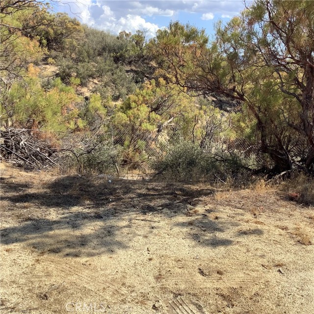 MLS #SW25217068 image #14