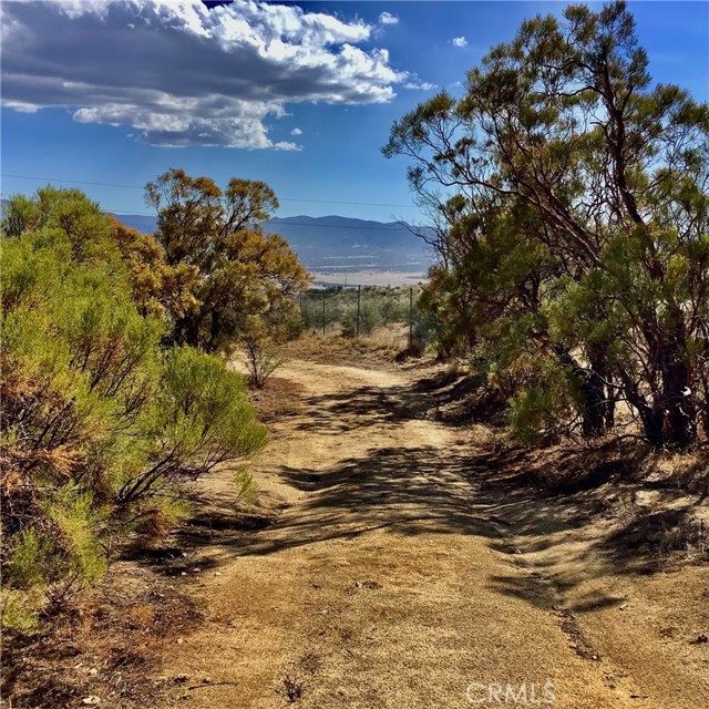 MLS #SW25217068 image #15
