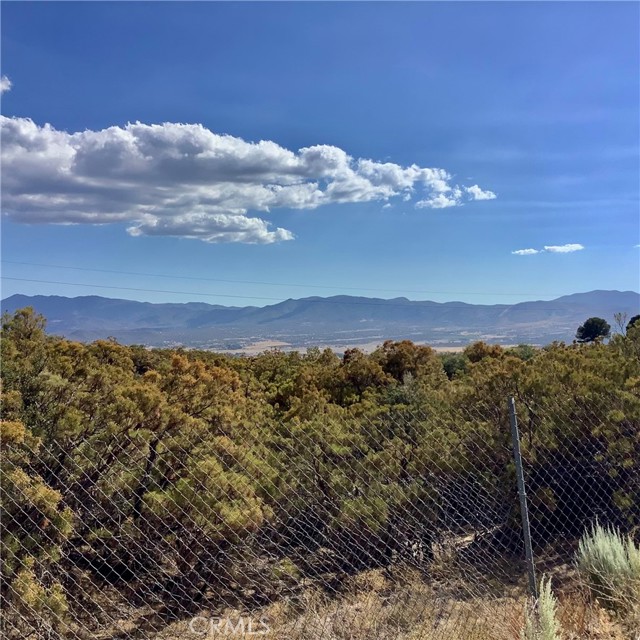 MLS #SW25217068 image #4