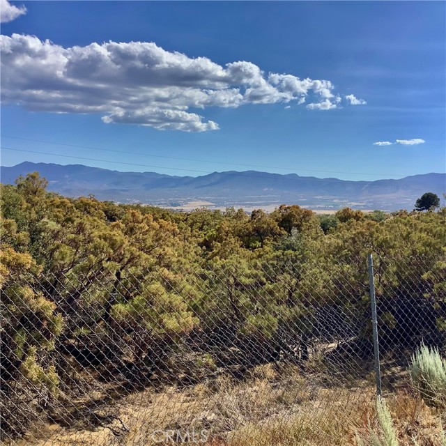 MLS #SW25217068 image #6