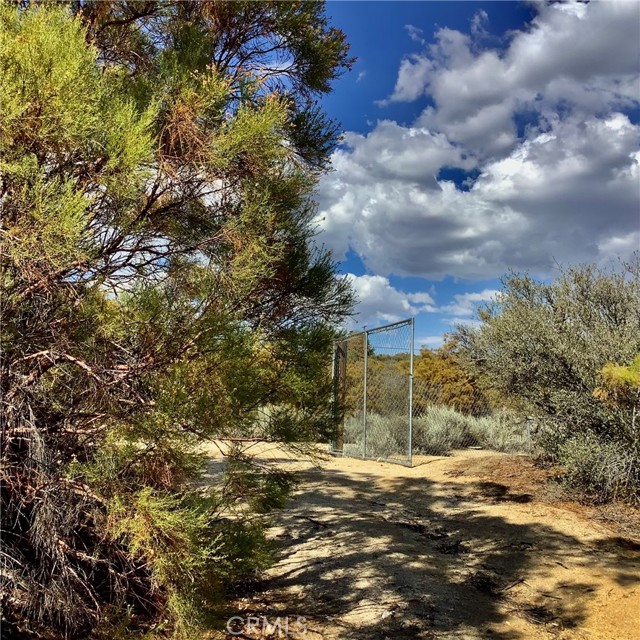 MLS #SW25217068 image #7