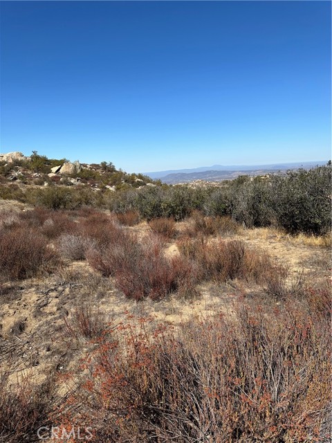 MLS #SW25217194 image #10