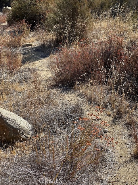 MLS #SW25217194 image #11