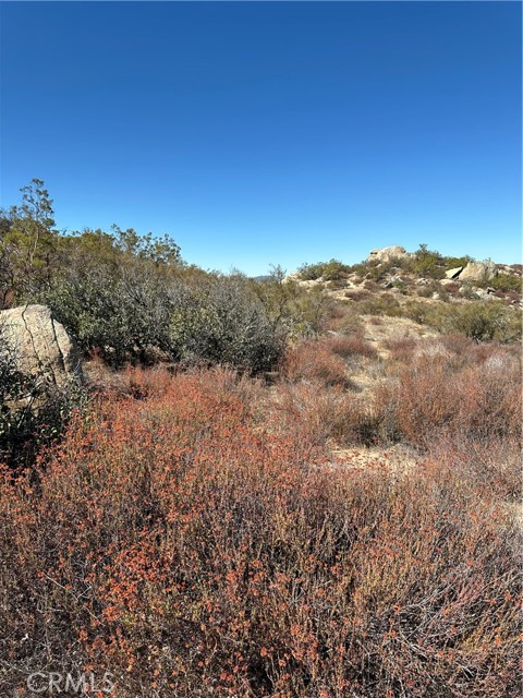 MLS #SW25217194 image #12