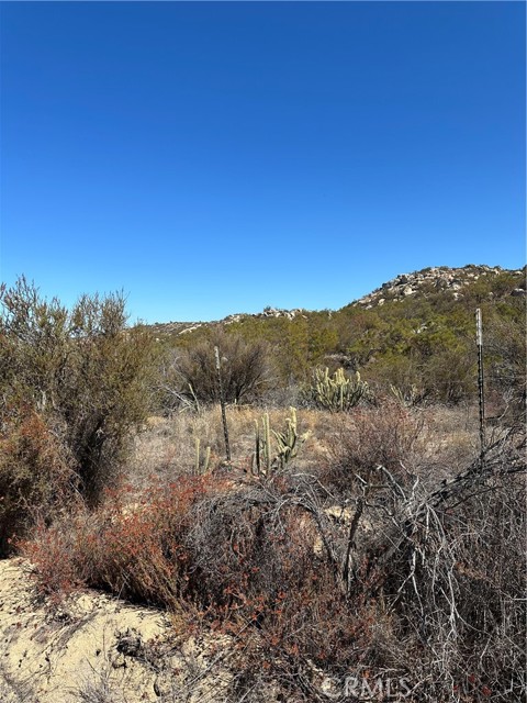 MLS #SW25217194 image #2