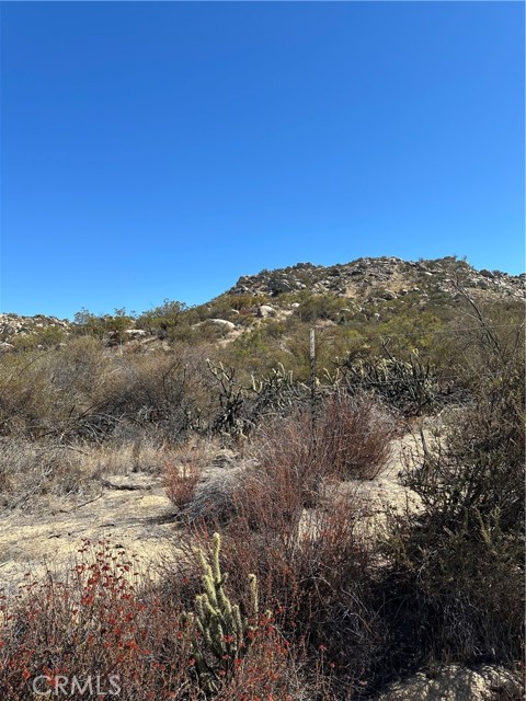 MLS #SW25217194 image #4