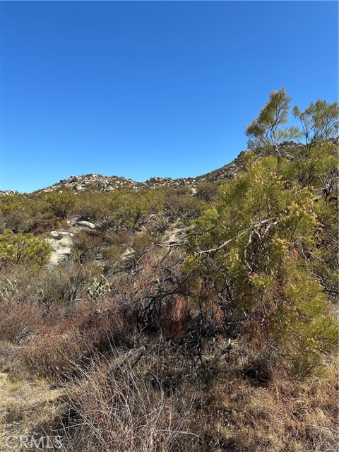 MLS #SW25217194 image #5