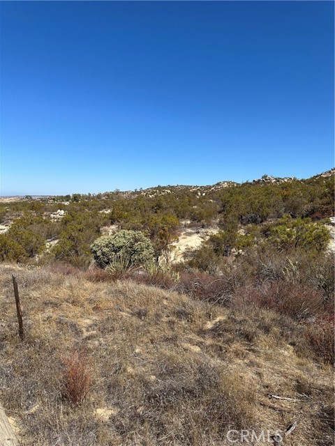 MLS #SW25217194 image #6