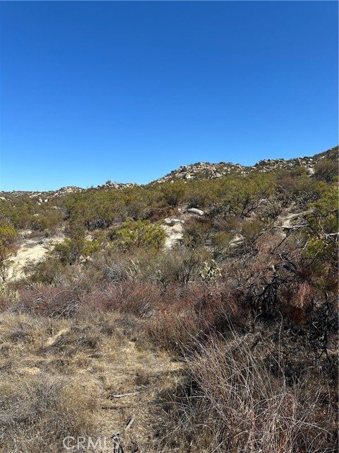 MLS #SW25217194 image #7