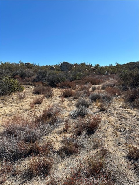 MLS #SW25217199 image #1