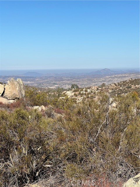 MLS #SW25217199 image #10