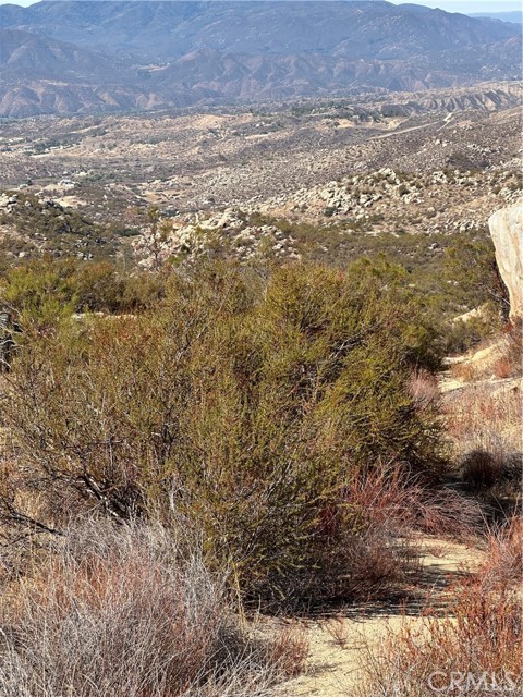 MLS #SW25217199 image #11