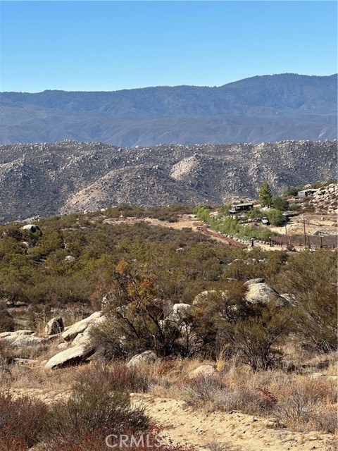 MLS #SW25217199 image #12