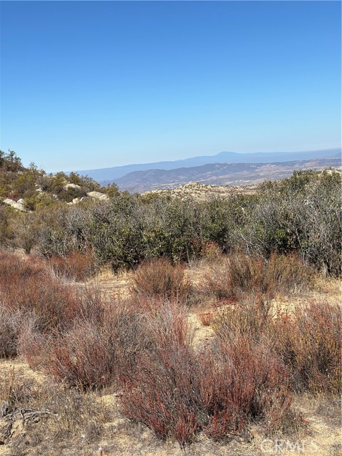 MLS #SW25217199 image #17