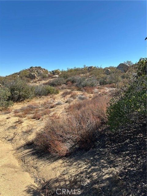 MLS #SW25217199 image #2