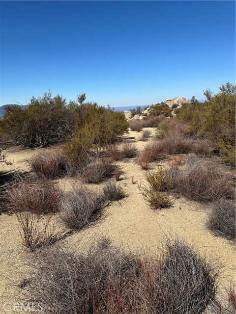 MLS #SW25217199 image #3