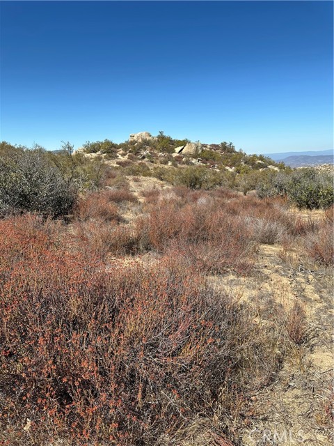 MLS #SW25217199 image #4