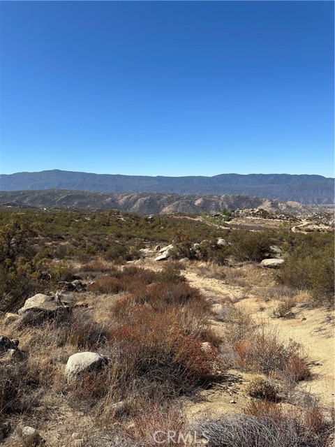 MLS #SW25217199 image #5