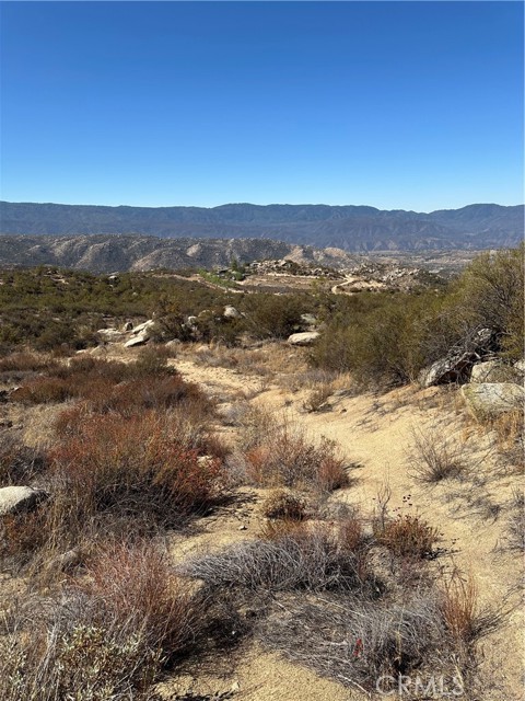 MLS #SW25217199 image #6