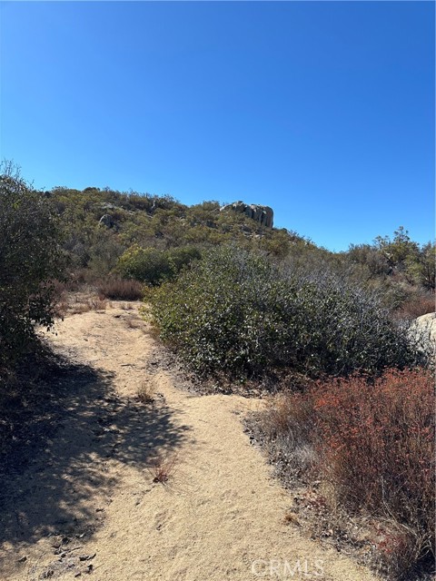 MLS #SW25217199 image #8