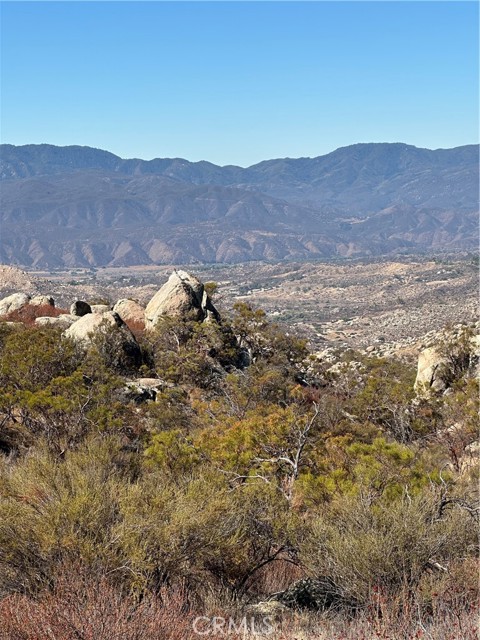 MLS #SW25217199 image #9