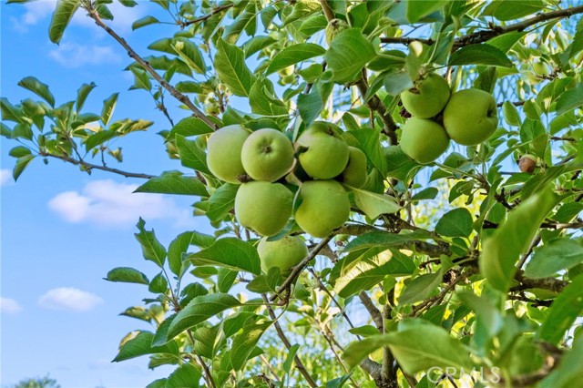 MLS #SW25217358 image #20