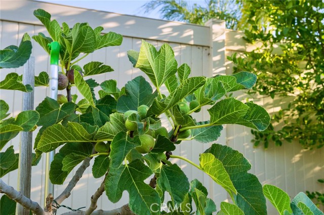 MLS #SW25217358 image #21