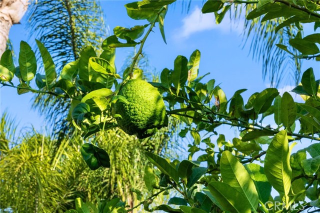 MLS #SW25217358 image #22