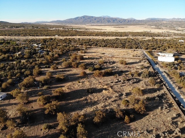 MLS #SW25217573 image #2