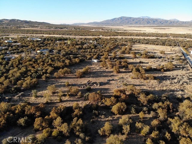 MLS #SW25217573 image #6
