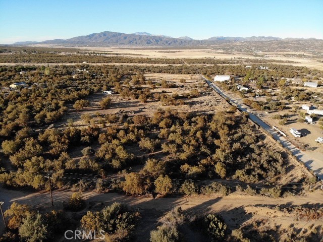 MLS #SW25217573 image #7