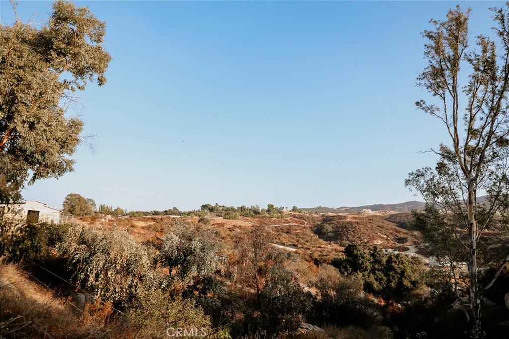 MLS #SW25218007 image #44