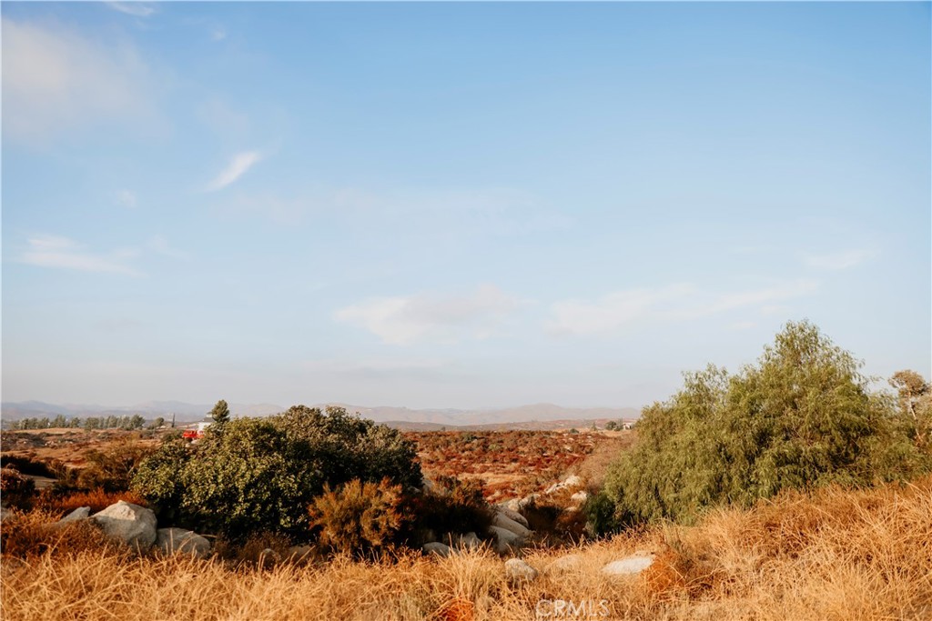 MLS #SW25218007 image #45