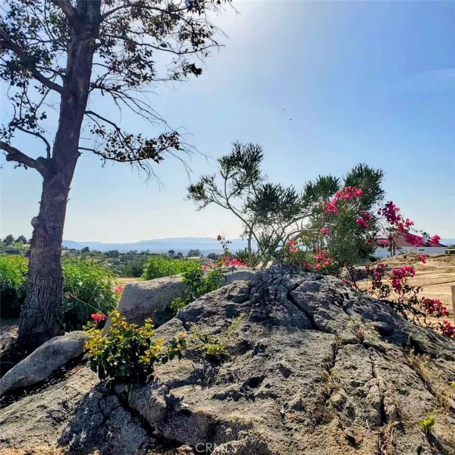 MLS #SW25218007 image #47