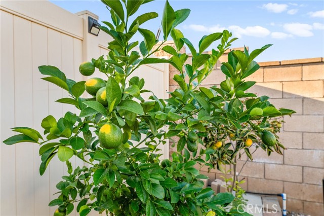 MLS #SW25218625 image #51