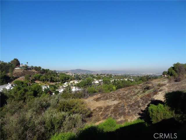 MLS #SW25218999 image #9