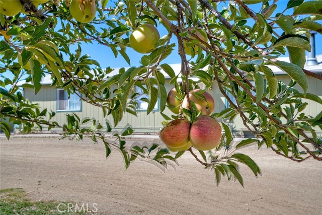 MLS #SW25219104 image #23