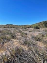 MLS #SW25220114 image #2
