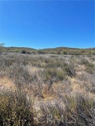 MLS #SW25220114 image #4