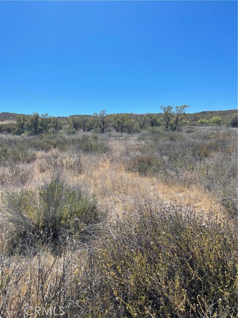 MLS #SW25220114 image #5