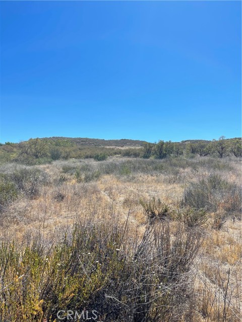 MLS #SW25220115 image #7