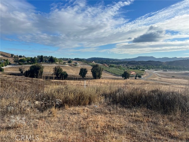 MLS #SW25220290 image #2