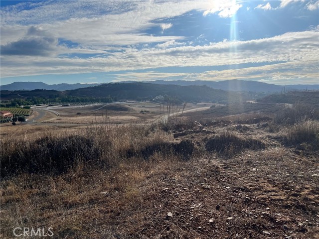 MLS #SW25220290 image #5