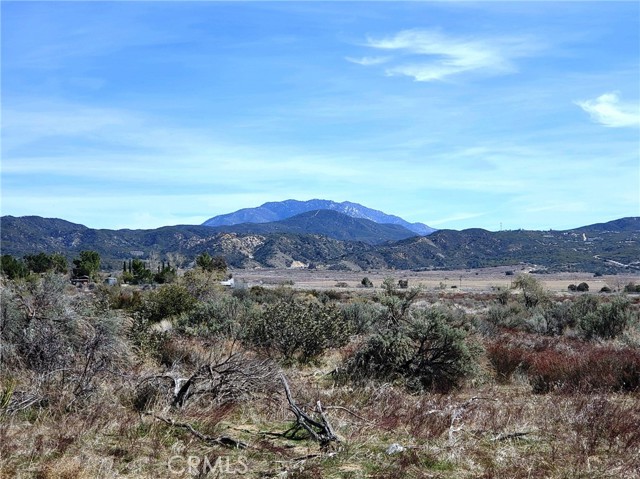 MLS #SW25221214 image #1