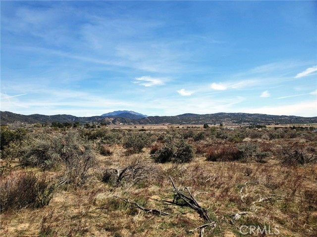 MLS #SW25221214 image #10