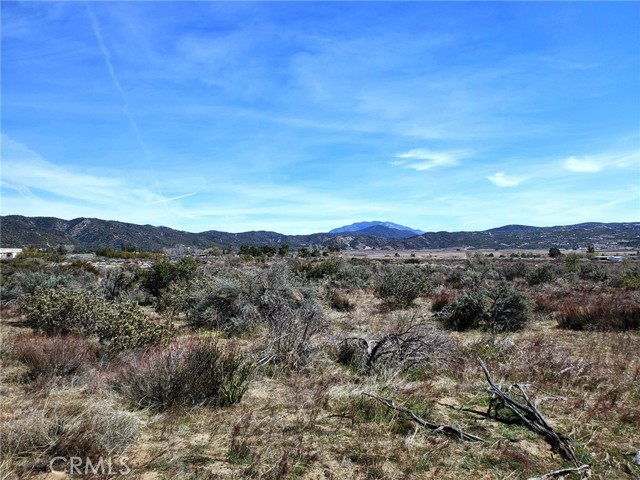 MLS #SW25221214 image #11